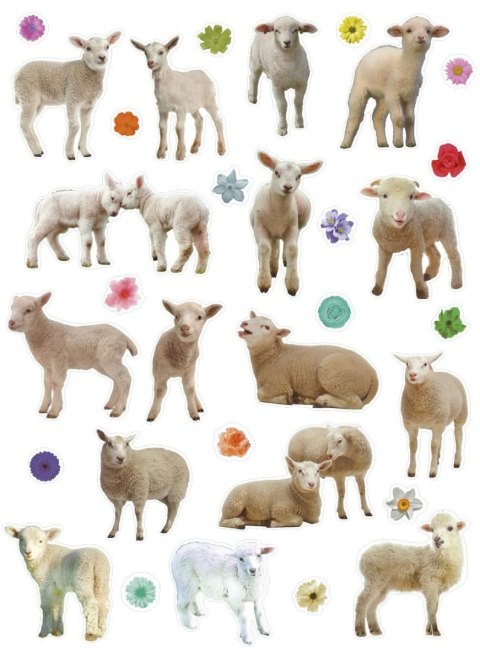 Naklejka (nalepka) Craft-Fun Series Sheep Titanum