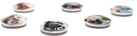 Magnes PIES I KOT okrągły mix śr. 30mm Fun&Joy 6 sztuk Magnes PIES I KOT okrągły mix śr. 30mm Fun&Joy 6 sztuk