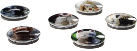 Magnes PIES okrągły mix śr. 30mm Fun&Joy 6 sztuk Magnes PIES okrągły mix śr. 30mm Fun&Joy 6 sztuk