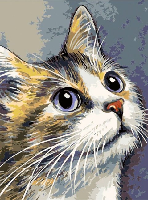 Zestaw kreatywny Malowanie po numerach 30x40cm Kot Flamingo Line (FC220)