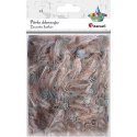 Piórka Craft-Fun Series 3g brązowy Titanum (A19HT018)