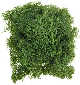 Dekoracja Craft-Fun Series dekoracja florystyczna mech chrobotek Titanum (2324045 DG)