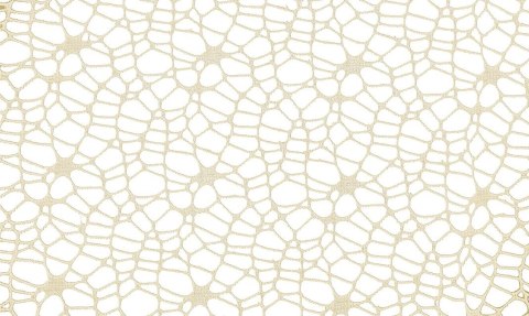 Ozdoba materiałowa Craft-Fun Series siatka koronkowa kremowa Titanum (25CR0331-16)