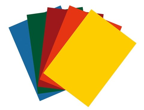 Papier ksero intensywny A4 mix 100k. 80g Flamingo Papier ksero intensywny A4 mix 100k. 80g Flamingo