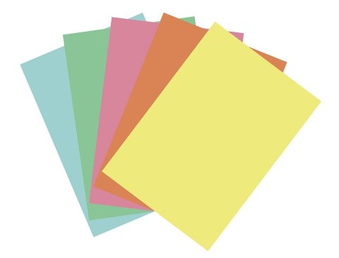 Papier ksero pastelowy A4 mix 100k. 80g Flamingo Papier ksero pastelowy A4 mix 100k. 80g Flamingo
