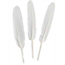 Piórka Craft-Fun Series białe 50 szt Titanum (lotki)