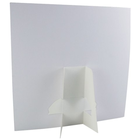 Mozaika kot śpiewa Fun&Joy