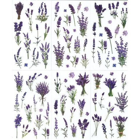 Naklejka (nalepka) Craft-Fun Series Lawenda foliowe Titanum (25MD003)