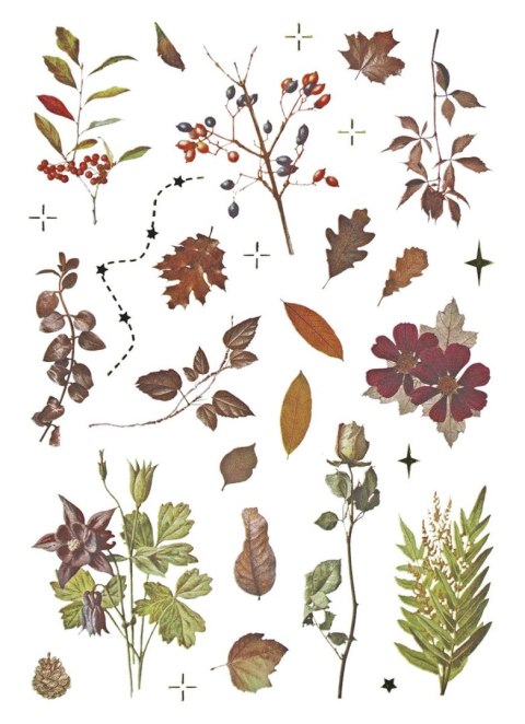 Naklejka (nalepka) Craft-Fun Series Naklejki foliowe 8 plansz Titanum (25YZ009)